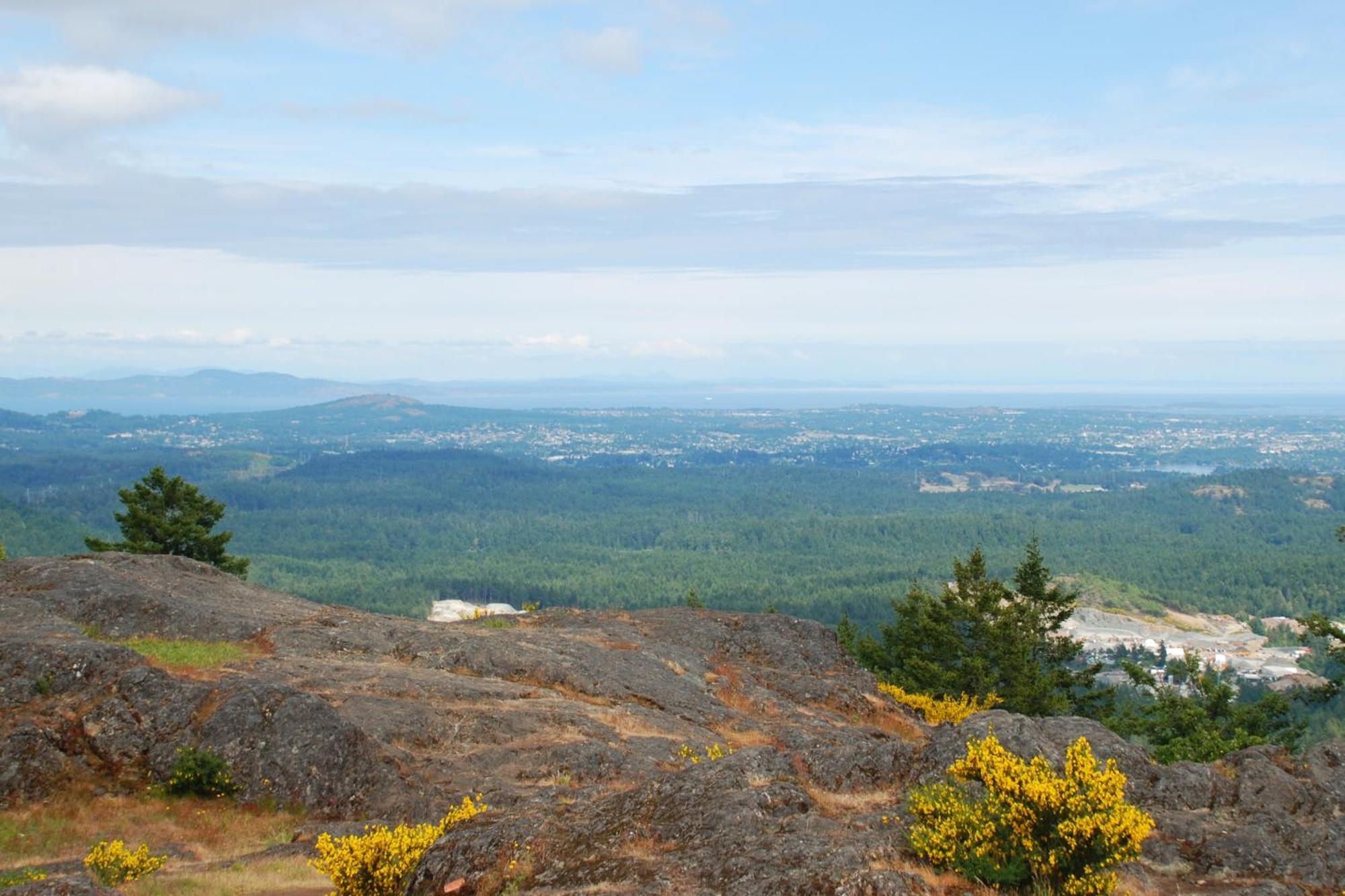 Shawnigan Suite B & B Shawnigan Lake Bagian luar foto
