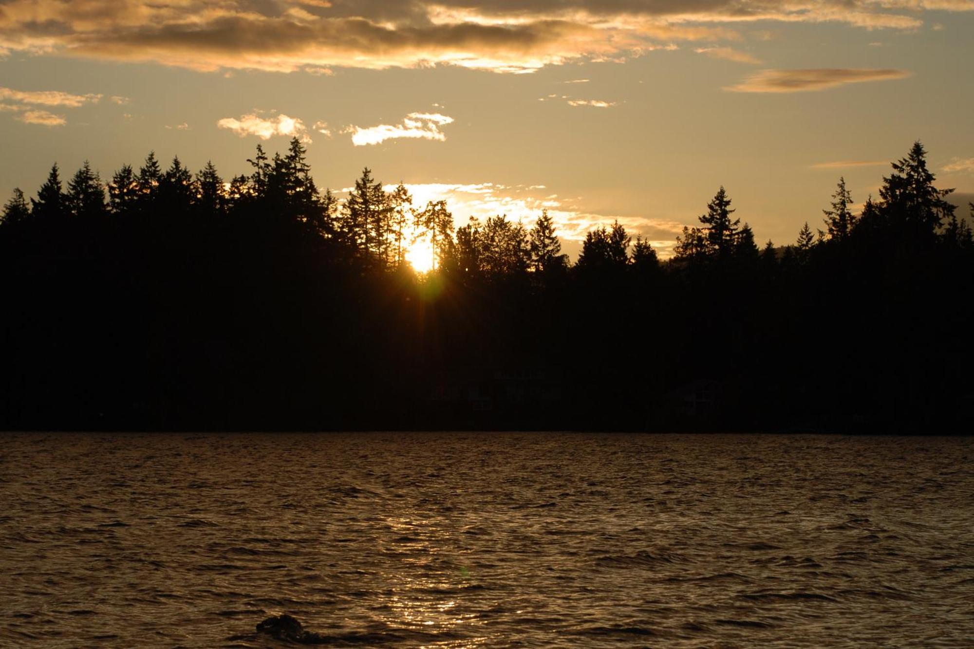 Shawnigan Suite B & B Shawnigan Lake Bagian luar foto